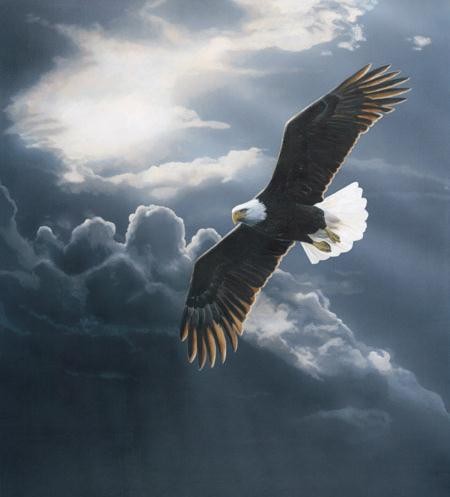 AIGLE 2 jason-voyance.com AIGLE 2 jason-voyance.com